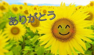 体験入店 あい