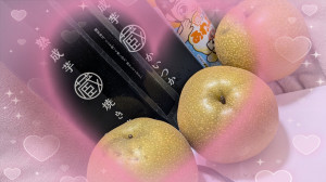 体験入店 ちひろ