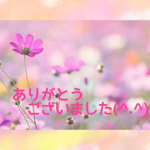 新人熟女 みほ