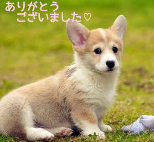 新人熟女 みほ