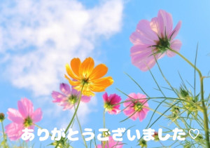 新人熟女 みほ