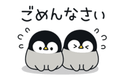 新人熟女 かえで
