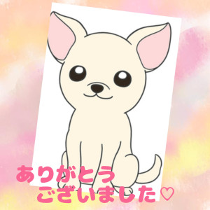 新人熟女 みほ