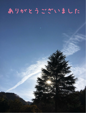 新人熟女ゆかり