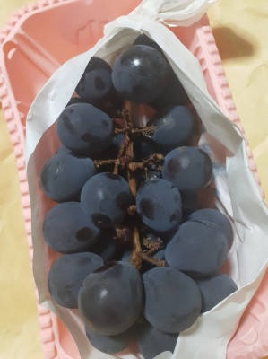 ことみ