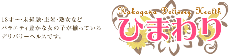 ひまわり