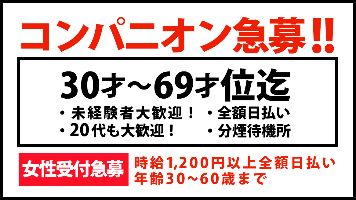 コンパニオン急募