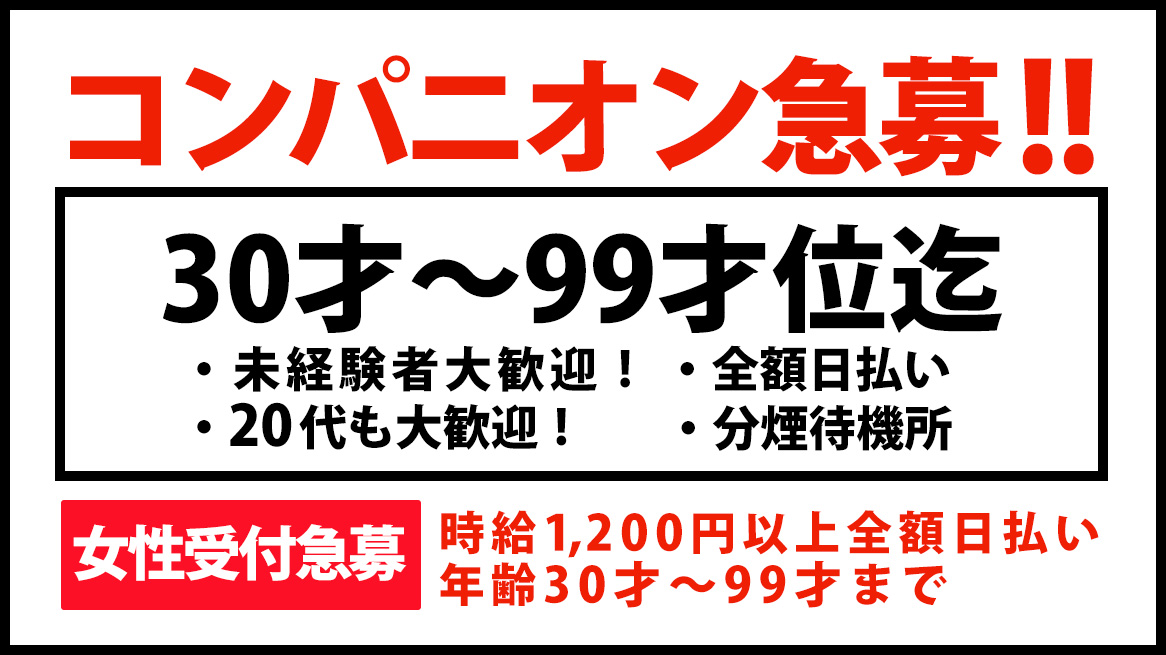 コンパニオン急募