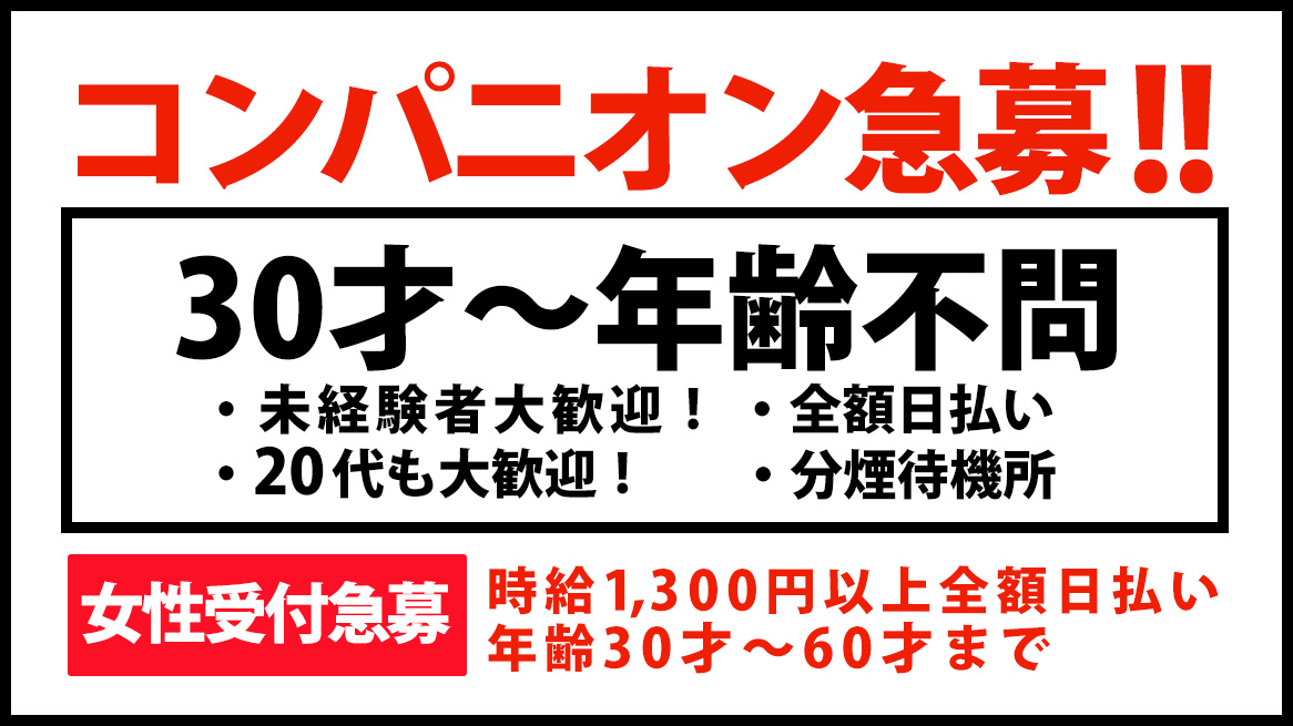 コンパニオン急募