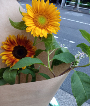 しずく