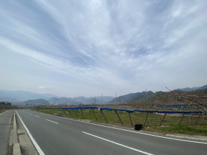 宮崎　ことは