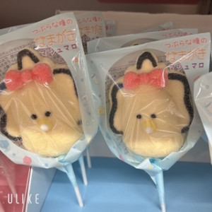 杉浦　みずき