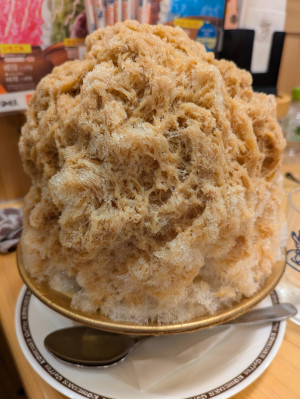 小倉　のの
