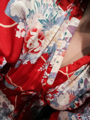 ヒマリ