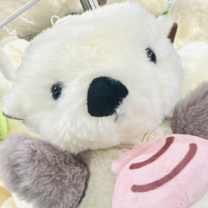 ヒマリ