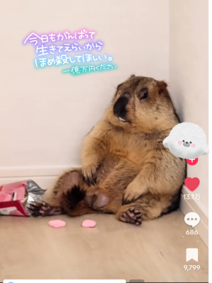 みなみ