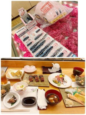 胡蝶 せいな