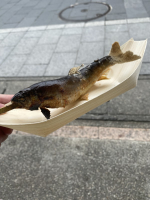 おはようございます♡