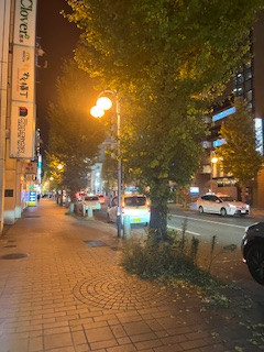 パッション佐野