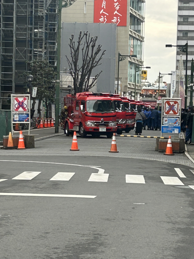 ママのアンダーヘア