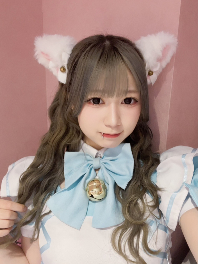 あおい にゃんぽんたん