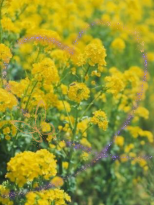 出勤しました('  ' )