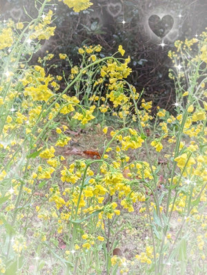 出勤しました('  ' )