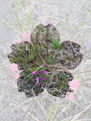 ゆうこ★美魔女★品のある女性が豹変！