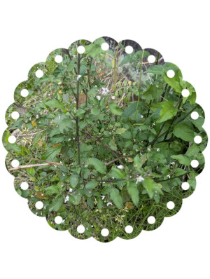 ゆうこ★美魔女★品のある女性が豹変！