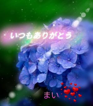 お礼です