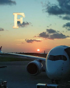 謎のM,s F