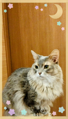 かれん