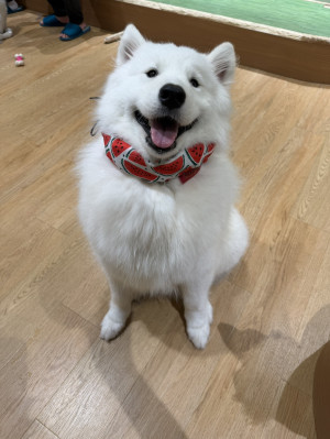 るる