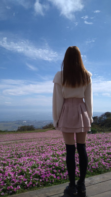 みやび