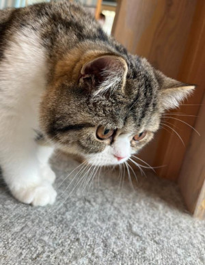 まりん