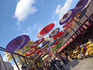 さつき【Ｒ】