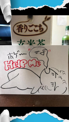けいこ