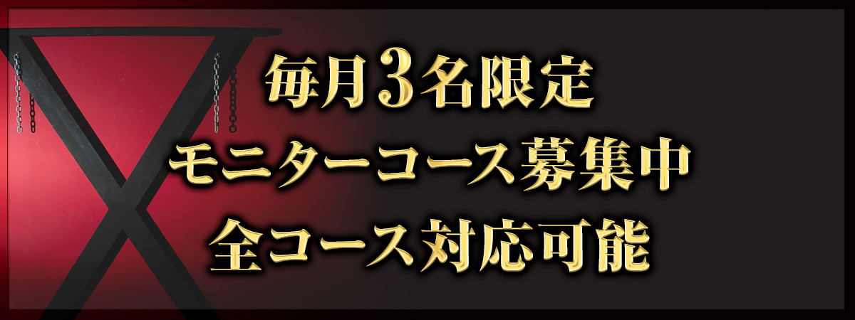 お得なモニターコース