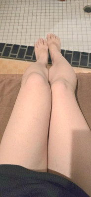 ききょう
