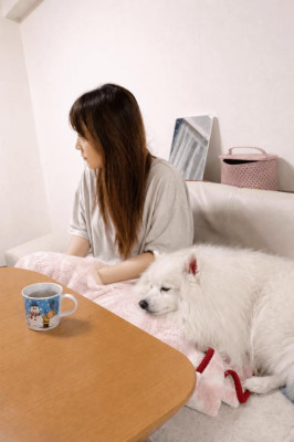 ねね