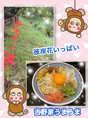よしえ 奥様