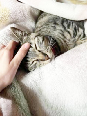 あやの 奥様
