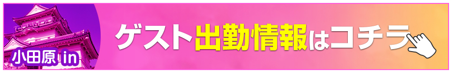 ゲスト出勤情報はコチラ