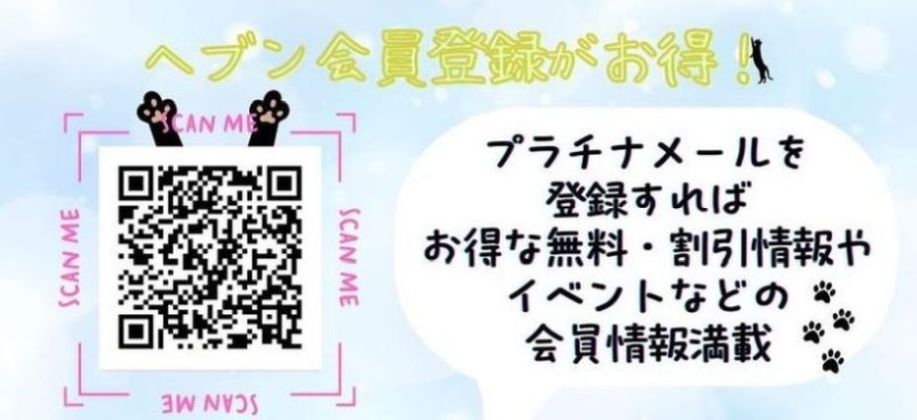 プラチナメール