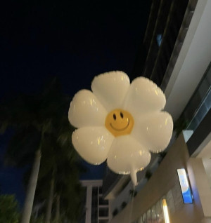 ノア