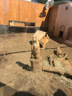 イロハ