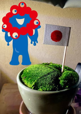ミヤビ