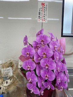 ママ