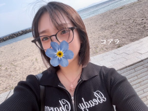 コアラ