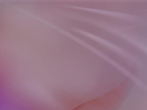 きゆう